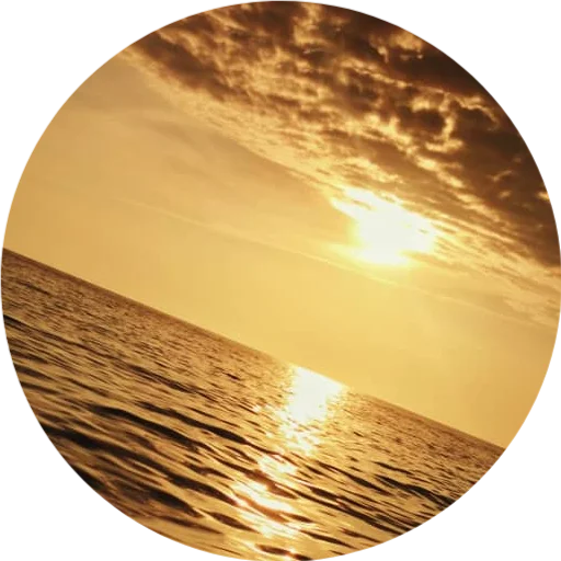 🌊 Стикер «DreamsOnline» для Telegram