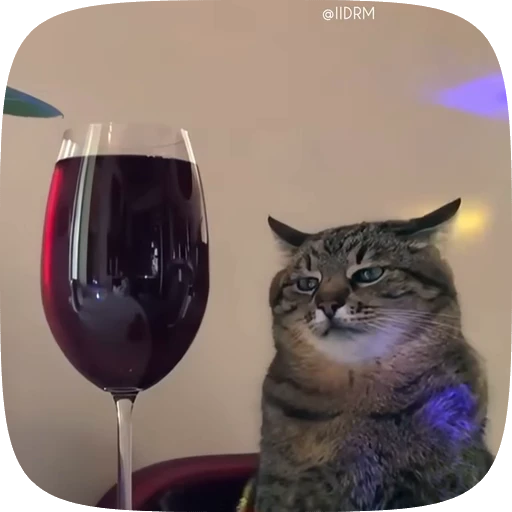 🥃 Стикер «Animals» для Telegram