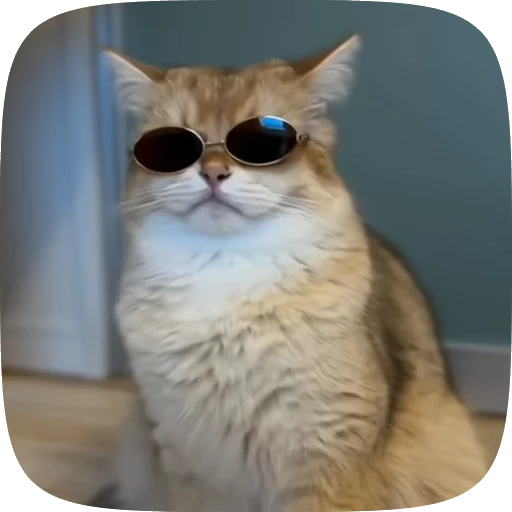 😎 Стикер «Animals» для Telegram