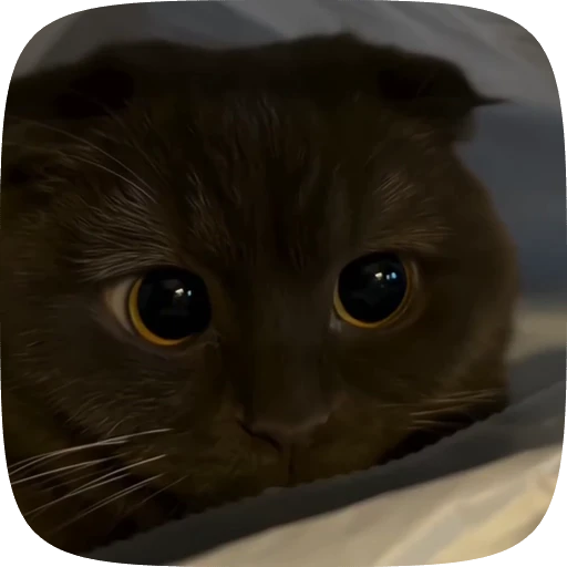 👀 Стикер «Animals» для Telegram