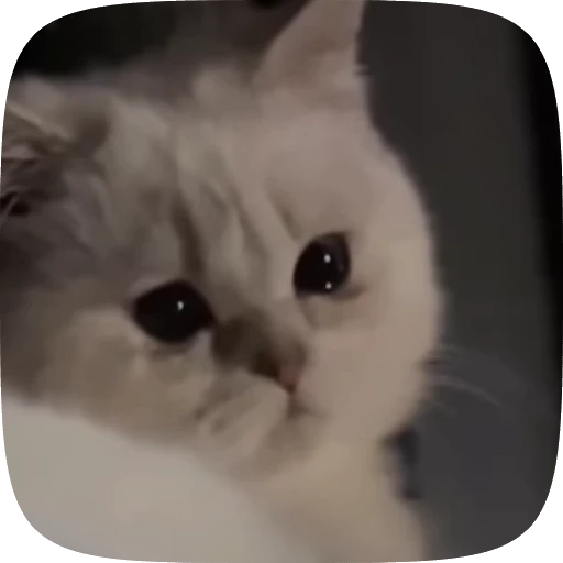 😭 Стикер «Animals» для Telegram
