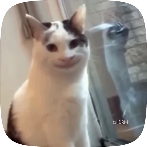 🙂 Стикер «Animals» для Telegram
