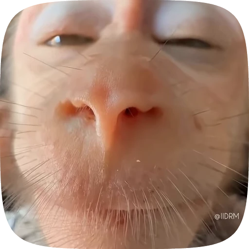 😊 Стикер «Funny animals» для Telegram