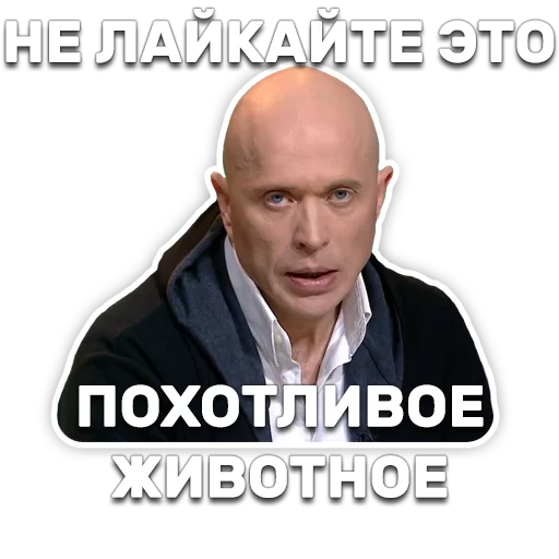 🐷 Стикер «DruzhkoSHOW» для Telegram