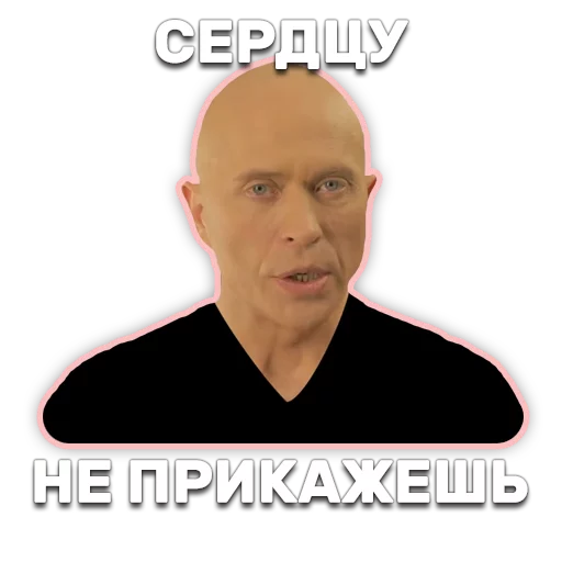 💑 Стикер «DruzhkoSHOW» для Telegram