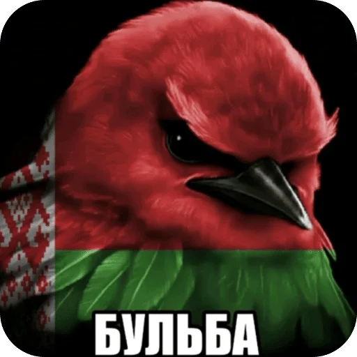🌟 Стикер «Птицки» для Telegram