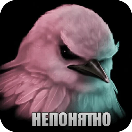 🌟 Стикер «Птицки» для Telegram