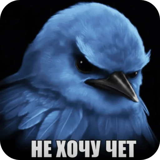 🌟 Стикер «Птицки» для Telegram