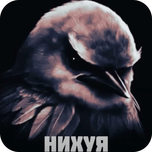 🌟 Стикер «Птицки» для Telegram