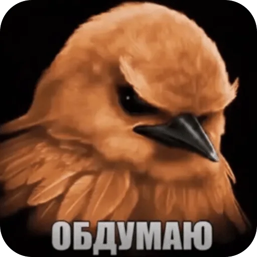🌟 Стикер «Птицки» для Telegram