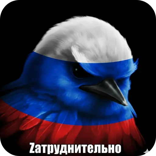 🧥 Стикер «Птицки» для Telegram