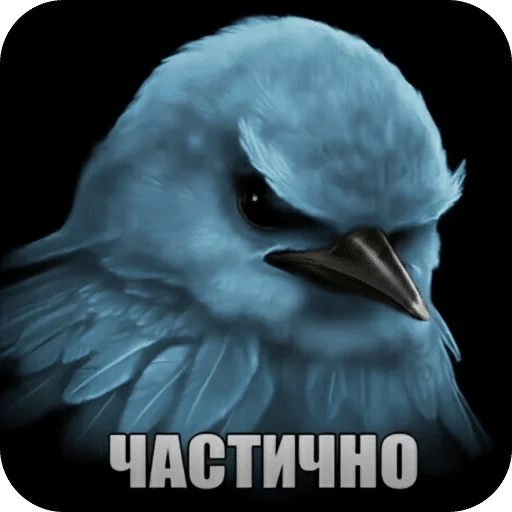 🌟 Стикер «Птицки» для Telegram