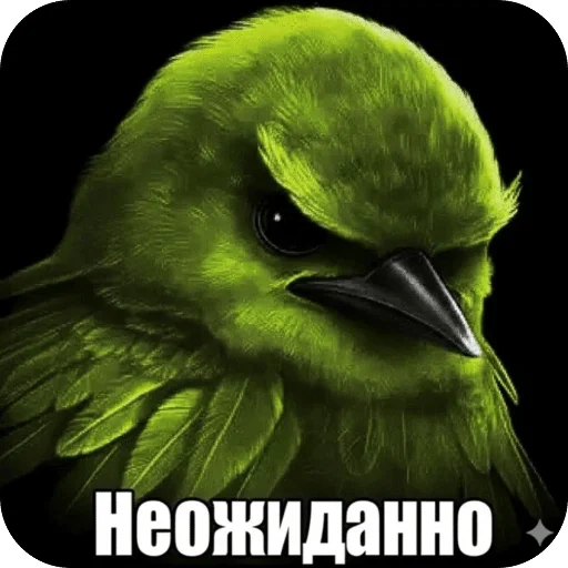 🌟 Стикер «Птицки» для Telegram
