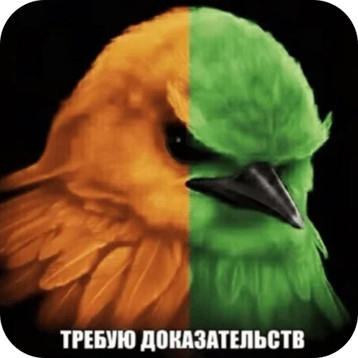 🌟 Стикер «Птицки» для Telegram