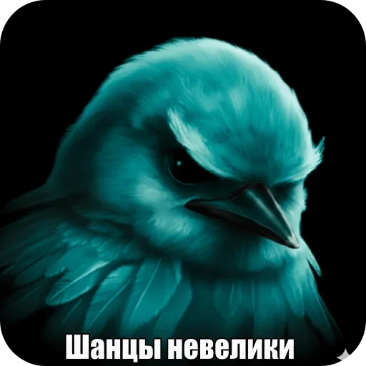 🐦 Стикер «Птицки» для Telegram