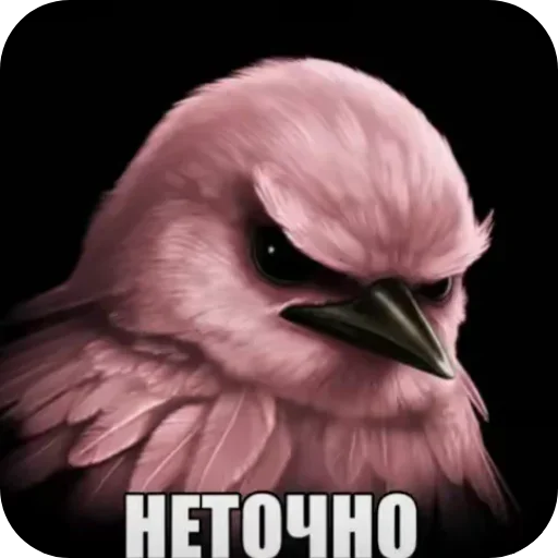 🐦 Стикер «Птицки» для Telegram