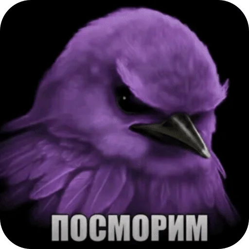 🌟 Стикер «Птицки» для Telegram