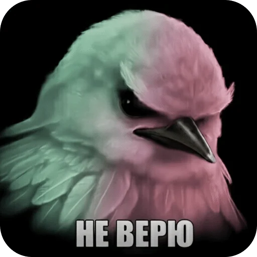 🌟 Стикер «Птицки» для Telegram