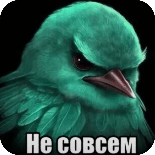 🌟 Стикер «Птицки» для Telegram