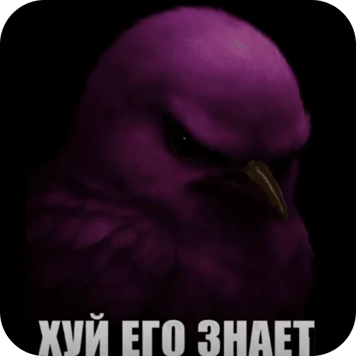 🌟 Стикер «Птицки» для Telegram