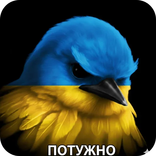 🐦 Стикер «Птицки» для Telegram