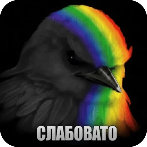 🌟 Стикер «Птицки» для Telegram