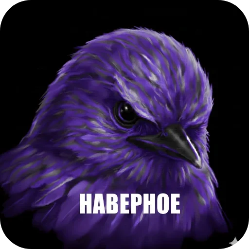 🐦 Стикер «Птицки» для Telegram