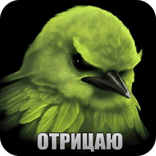 🌟 Стикер «Птицки» для Telegram