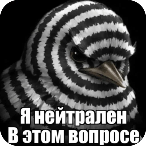 🌟 Стикер «Птицки» для Telegram