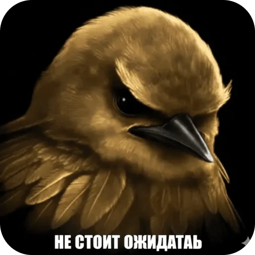 🌟 Стикер «Птицки» для Telegram