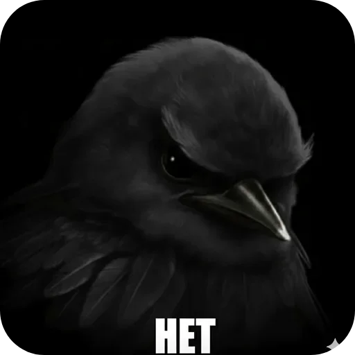🐦 Стикер «Птицки» для Telegram