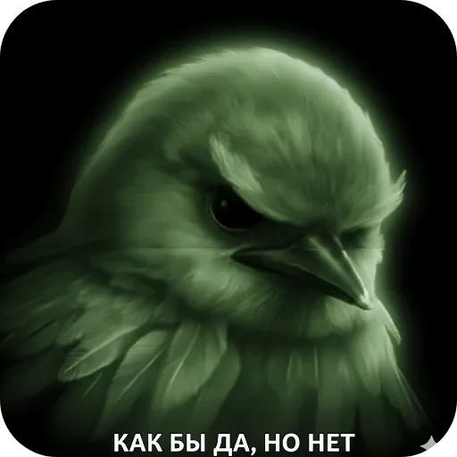 🐦 Стикер «Птицки» для Telegram
