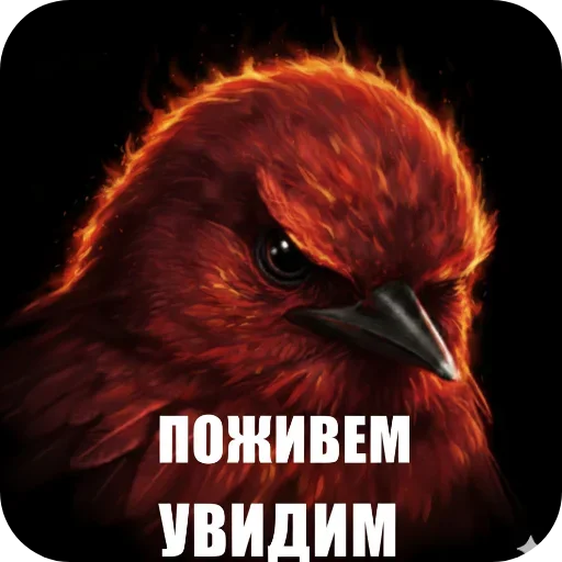 🐦 Стикер «Птицки» для Telegram