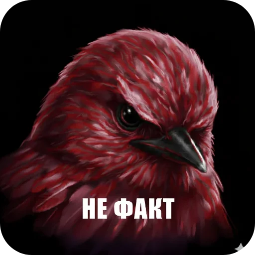 🐦 Стикер «Птицки» для Telegram