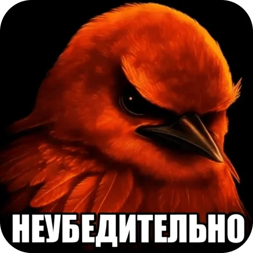 🌟 Стикер «Птицки» для Telegram