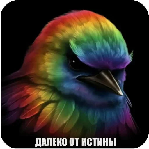 🐦 Стикер «Птицки» для Telegram