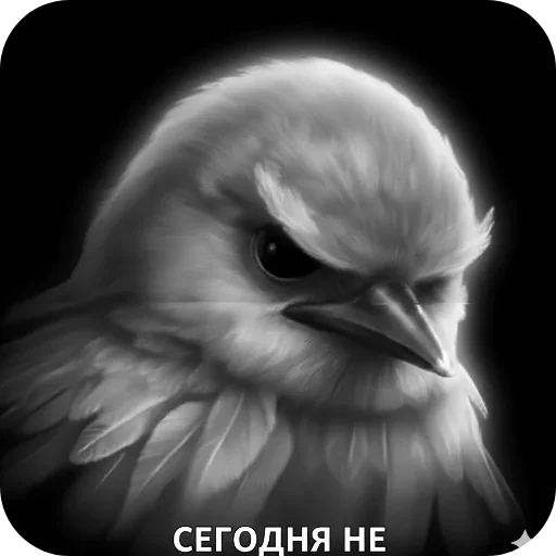 🐦 Стикер «Птицки» для Telegram