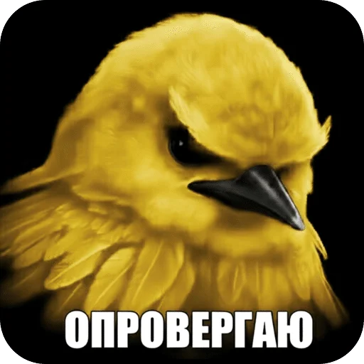 🌟 Стикер «Птицки» для Telegram