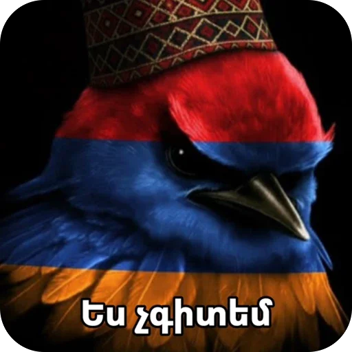 🫥 Стикер «Птицки» для Telegram