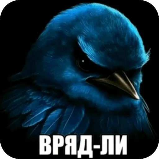 Стикерпак Птицки для Telegram