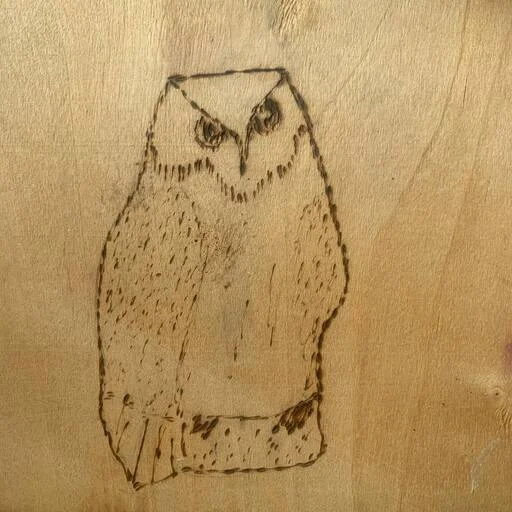 🪵 Стикер «Dubstep Owl» для Telegram
