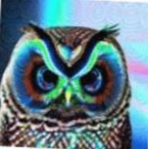 🤬 Стикер «Dubstep Owl» для Telegram
