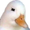🥴 Эмодзи «Duck 666 emoji» для Telegram