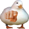 🫵 Эмодзи «Duck 666 emoji» для Telegram