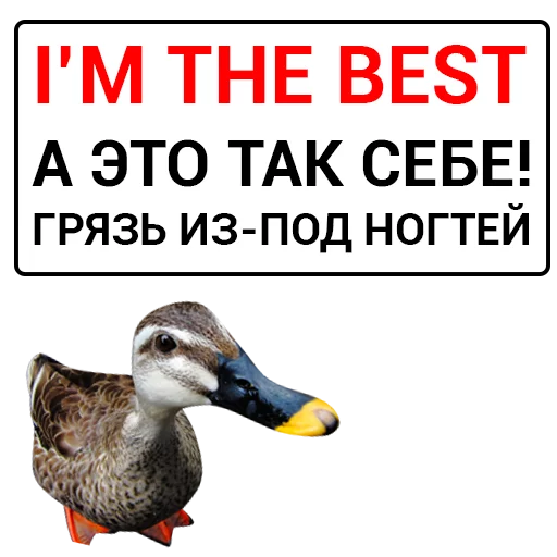 🏆 Стикер «Злая утка» для Telegram