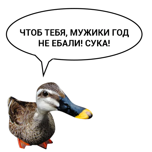😡 Стикер «Злая утка» для Telegram