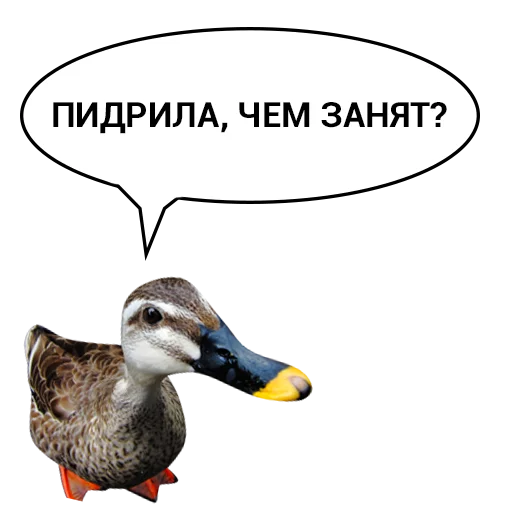 😋 Стикер «Злая утка» для Telegram