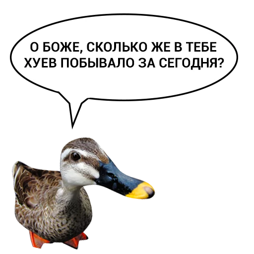 😆 Стикер «Злая утка» для Telegram