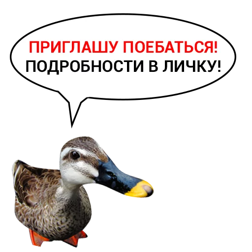 😈 Стикер «Злая утка» для Telegram