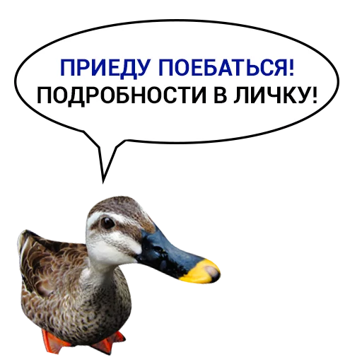 😈 Стикер «Злая утка» для Telegram